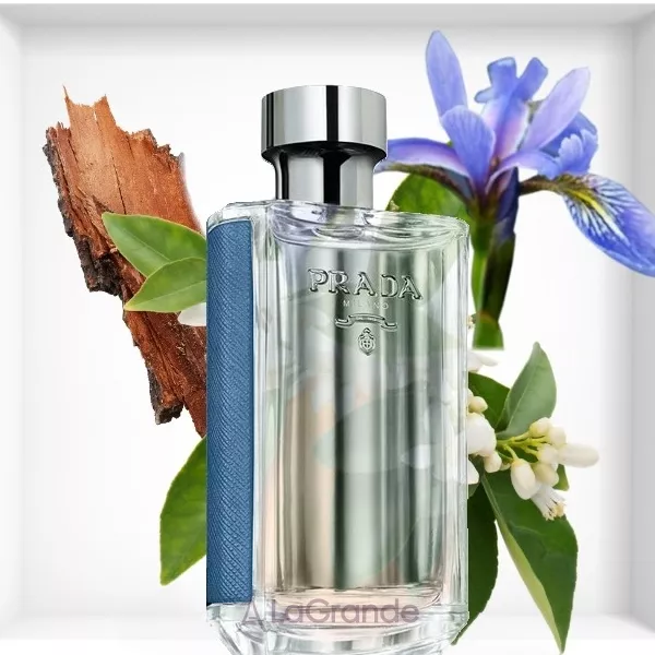 Prada L'Homme L'Eau Prada ��������� ���� (������)