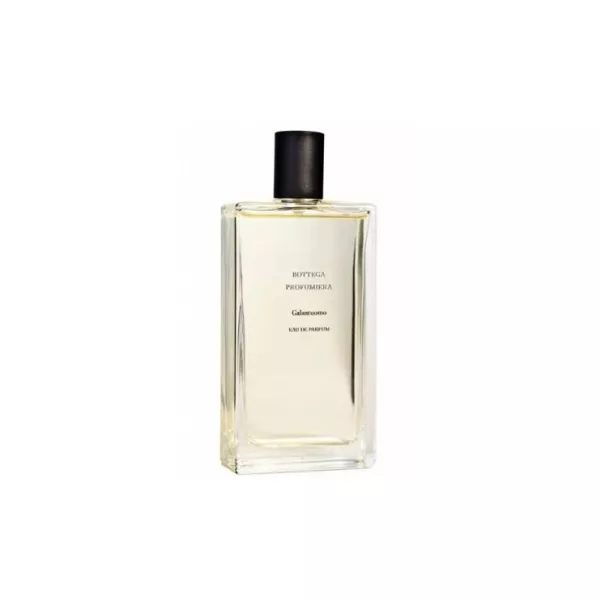 Bottega Veneta  Galantuomo ����� ( ��������������� ���� 100 �� + ��������������� ���� 30 �� )