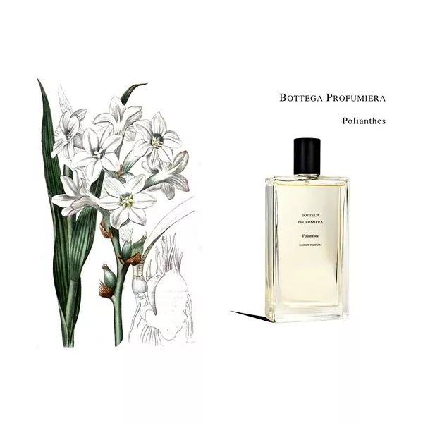 Bottega Veneta Mon Jardin ����� ( ��������������� ���� 100 �� + ��������������� ���� 30 �� )