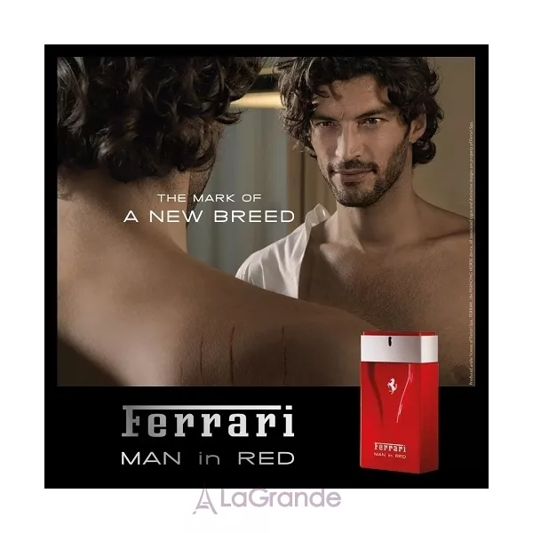 Ferrari Man in Red ��������� ����