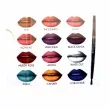 Bellapierre Cosmetics 12 Color Pro Matte Lip Palette    12 