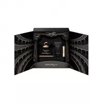 Salvatore Ferragamo Signorina Misteriosa ����� ( ��������������� ���� 100 �� + ��������� 10 �� + ������ ��� ���� 50 �� )