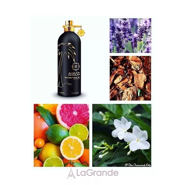 Montale Aqua Gold ��������������� ����