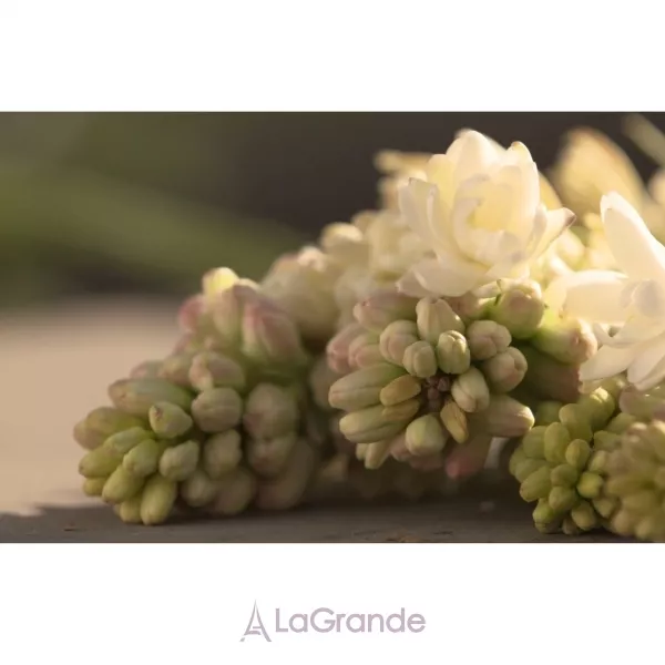 Gucci Bloom Acqua di Fiori ��������� ���� (������)
