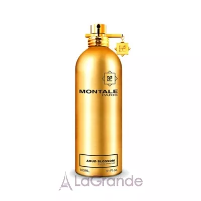 Montale Aoud Blossom  