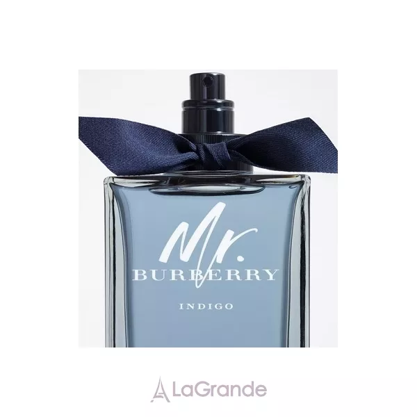 Burberry Mr. Burberry Indigo �������� ���� (������)