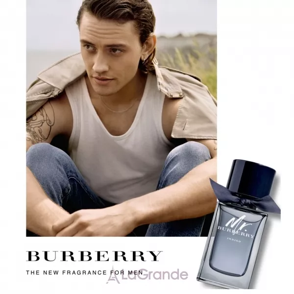 Burberry Mr. Burberry Indigo �������� ���� (������)