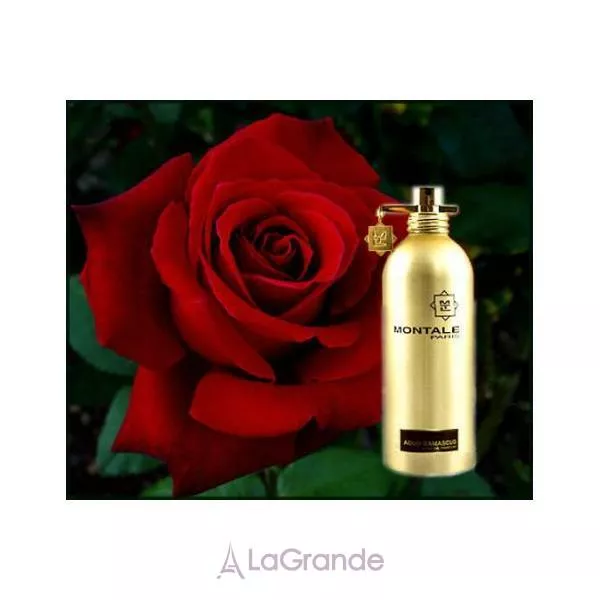 Montale Aoud Damascus ��������������� ����
