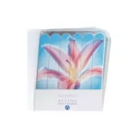 Alcina Nail File Set ����� ������ ������� ��� ������