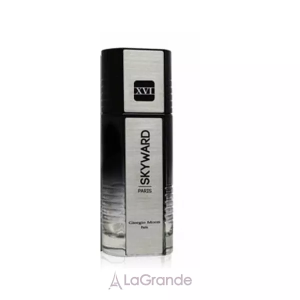 Giorgio Monti Skyward XVI Silver ��������������� ����