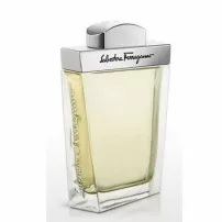 Salvatore Ferragamo pour Homme ��������� ���� (������)