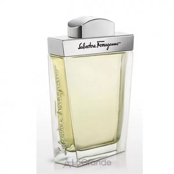 Salvatore Ferragamo pour Homme ��������� ���� (������)