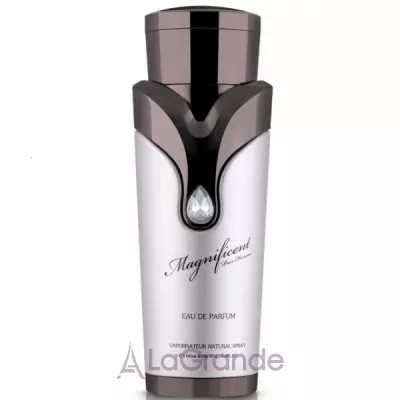 Armaf Magnificent Pour Homme  