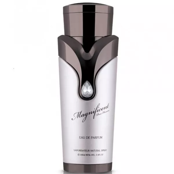 Armaf Magnificent Pour Homme ����������� ����
