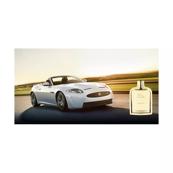 Jaguar Classic Gold �������� ���� (������)