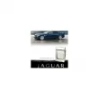 Jaguar Vision Jaguar   ()