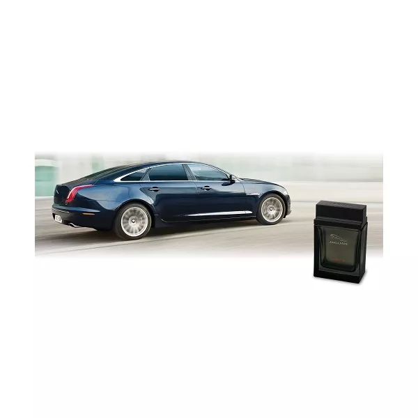 Jaguar Vision III �������� ���� (������)
