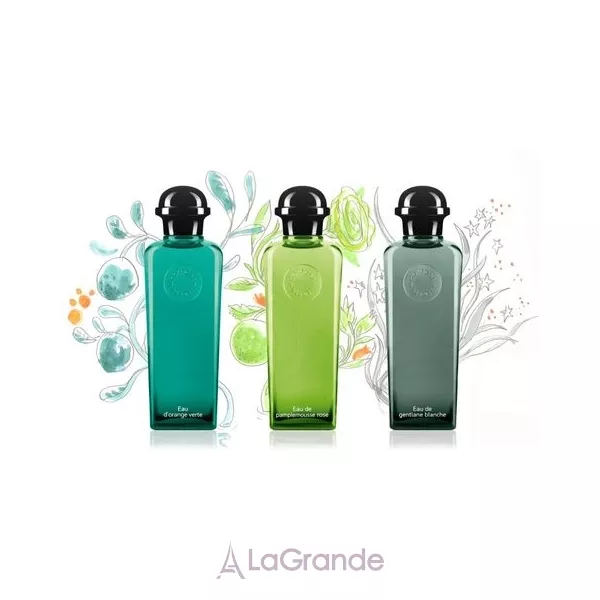 Hermes Collection Cologne ����� (�������� 15 �� 3 �����)