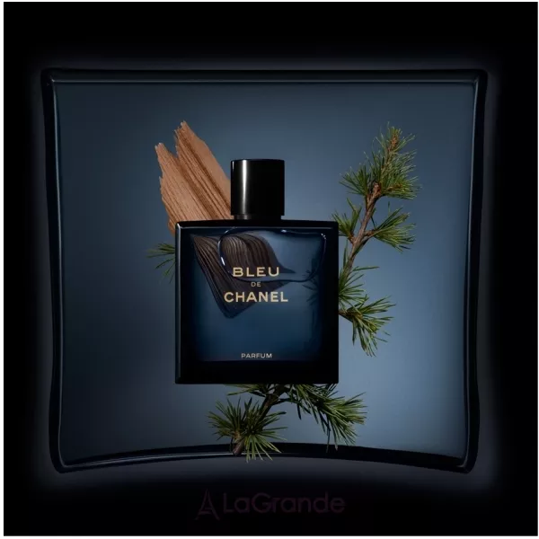 Chanel Bleu de Chanel Parfum ���� (������)