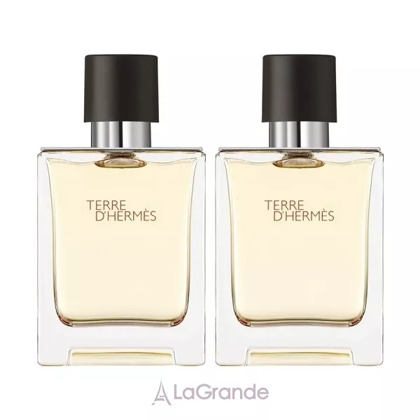 Hermes Terre D`Hermes ����� (��������� ���� 50 �� ��� �����)