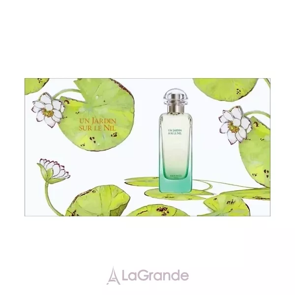Hermes Un Jardin sur le Nil ���� (�������� ���� 100 �� + �������� 7.5 �� + ������� ��� ��� 80 ��)