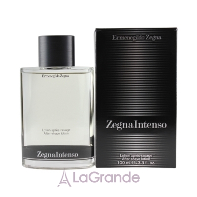 Ermenegildo Zegna Zegna Intenso   