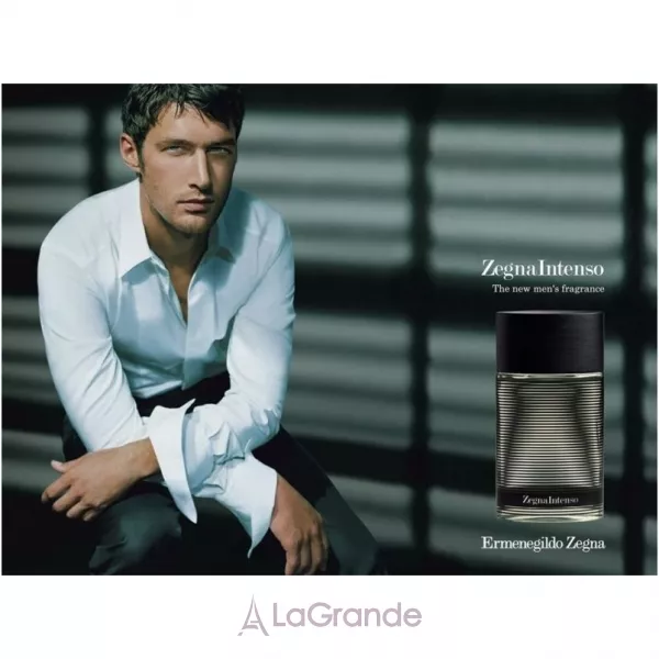 Ermenegildo Zegna Zegna Intenso ������ ����� ������