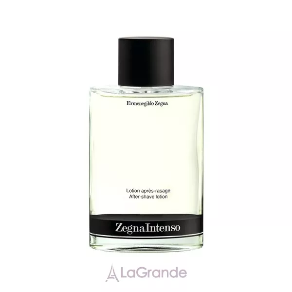 Ermenegildo Zegna Zegna Intenso ������ ����� ������