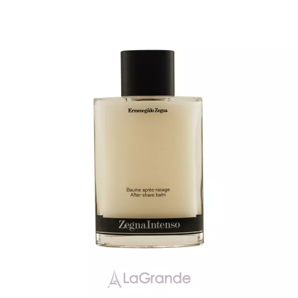 Ermenegildo Zegna Zegna Intenso ������� ����� ������