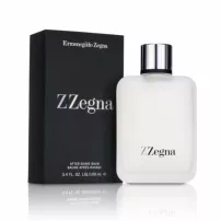 Ermenegildo Zegna Z Zegna ������� ����� ������