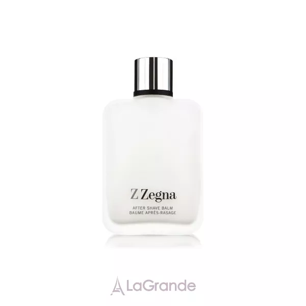 Ermenegildo Zegna Z Zegna ������� ����� ������
