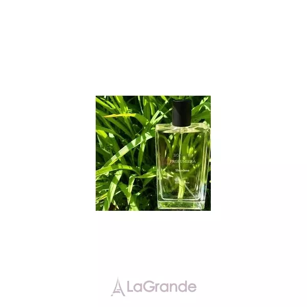 Bottega profumiera  Shardana ��������������� ���� (������)