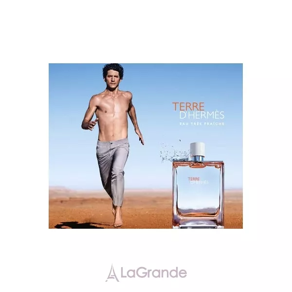 Hermes Terre d'Hermes Eau Tres Fraiche ��������� ���� (refill)