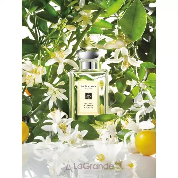 Jo Malone Orange Blossom �������� (������)