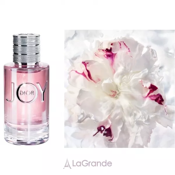 Christian Dior Joy By Dior ����������� ����