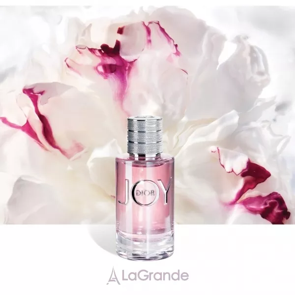 Christian Dior Joy By Dior ����������� ���� (������)