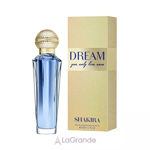 Shakira Dream �������� ����