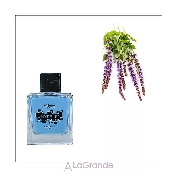 10th Avenue Karl Antony  Myself Spicy ��������� ���� (������ ��� ��������)