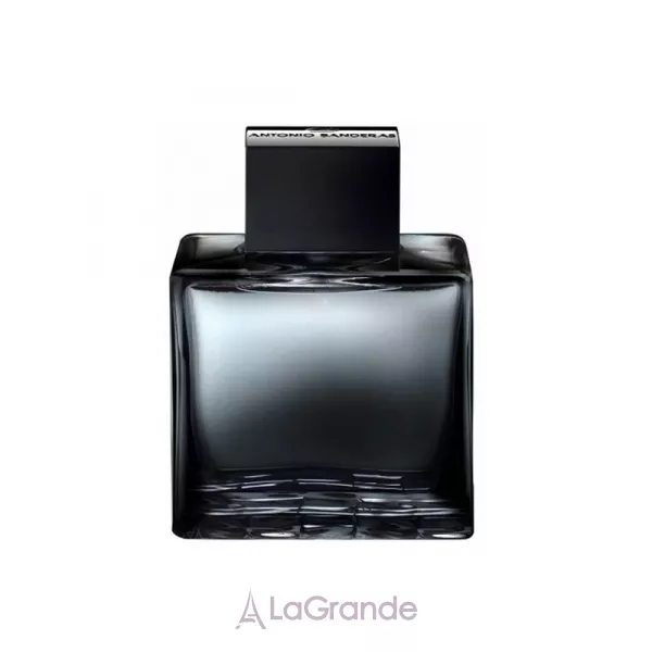 Antonio Banderas Seduction In Black ���� (�������� ���� 100 �� + ������� ���� ������ 75 ��)