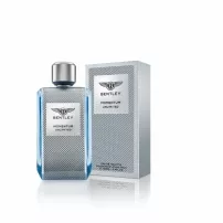 Bentley Momentum Unlimited ��������� ����