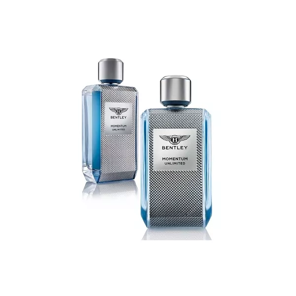 Bentley Momentum Unlimited ��������� ���� (������)