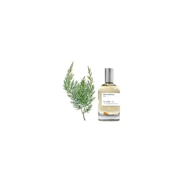 Miller et Bertaux A Quiet Morning ��������������� ����