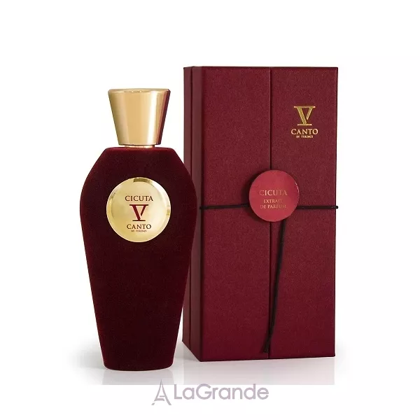 V Canto Cicuta ��������������� ����