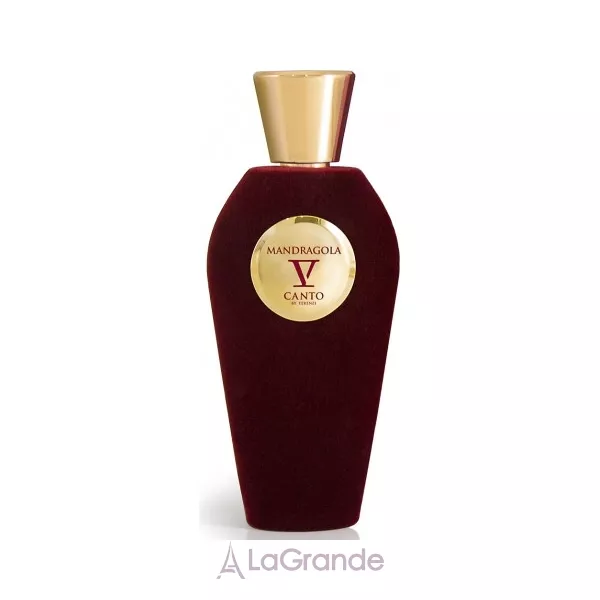 V Canto Mandragola ��������������� ����