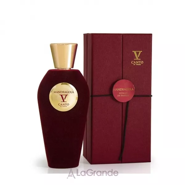 V Canto Mandragola ��������������� ����