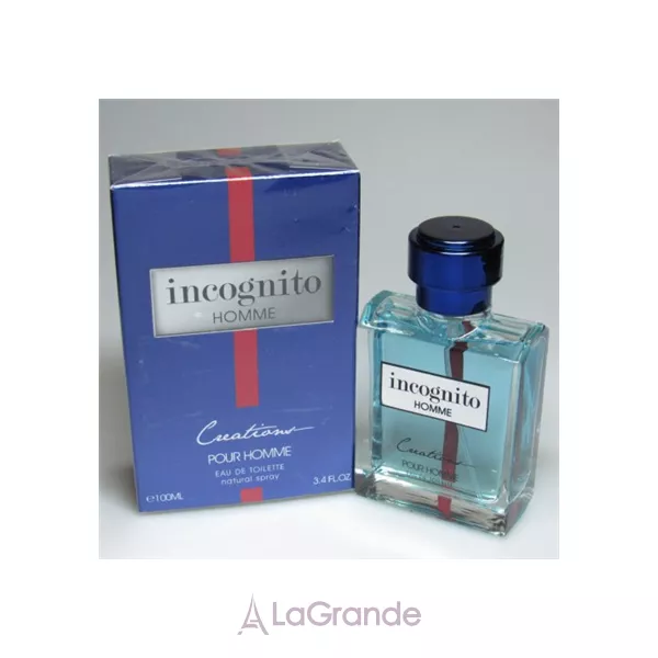 ART Parfum Incognito Homme ��������� ����