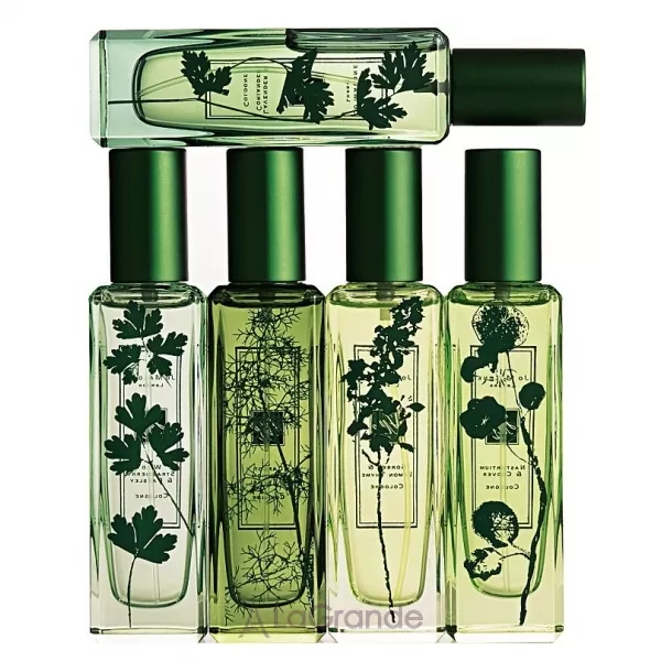 Jo Malone Lavender & Coriander �������� (������)
