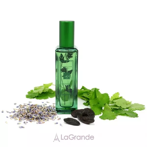 Jo Malone Lavender & Coriander �������� (������)