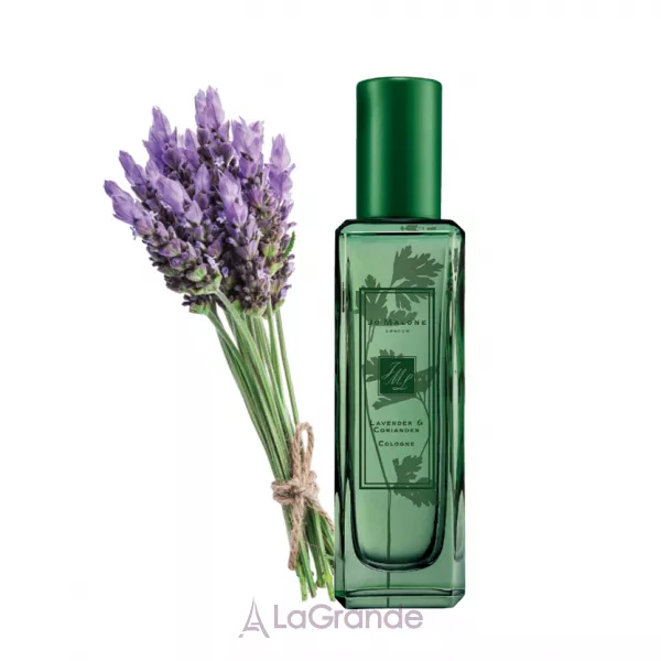 Jo Malone Lavender & Coriander �������� (������)