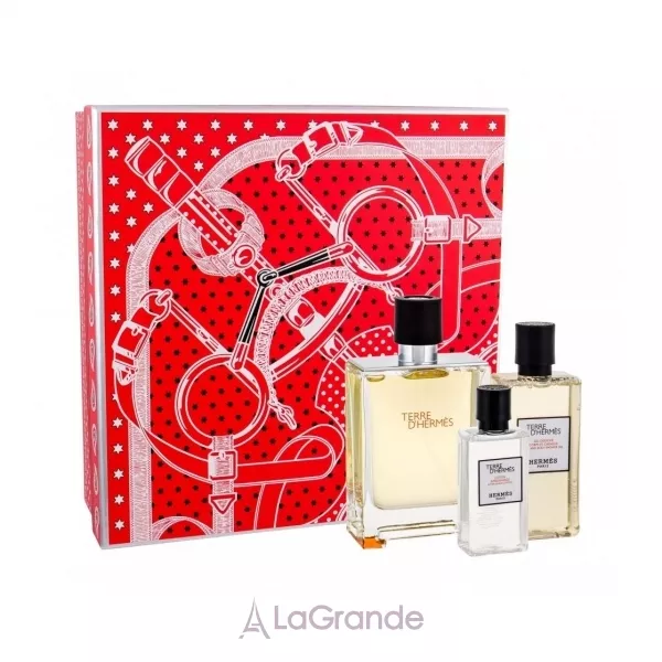 Hermes Terre D`Hermes ����� (��������� ���� 100 �� + ���� ��� ���� 80 �� + ������ ����� ������ 40 ��)